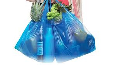 plastic bag.jpg