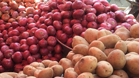 potato onion prices.