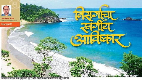 निसर्गाचा स्वर्गीय आविष्कार (जयप्रकाश प्रधान)
