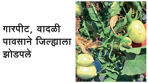 गारपीट, वादळी पावसाने जिल्ह्याला झोडपले