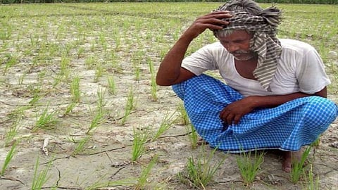 farmers who frustrated because of heavy rain are aske question to government