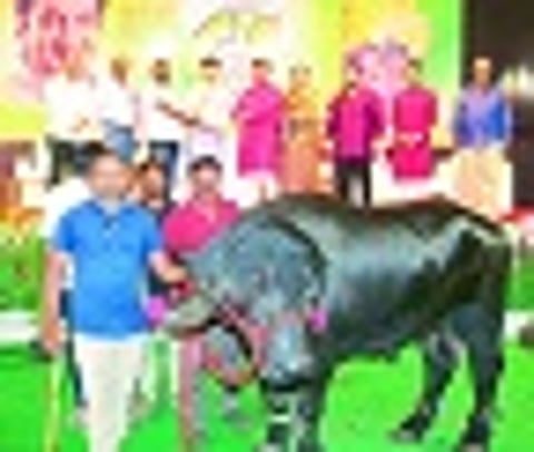 The need for organic farming time