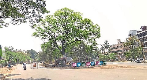The life of the jam is going to be restored to some extent now in Sangali