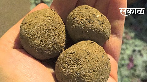 seed-ball