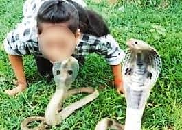 Be Cautious... Don`t do stunt with snake
