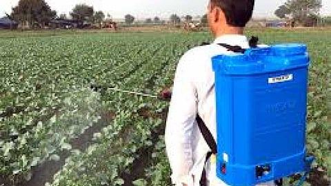 Akola News: Spray trap; So far 162 people have been poisoned