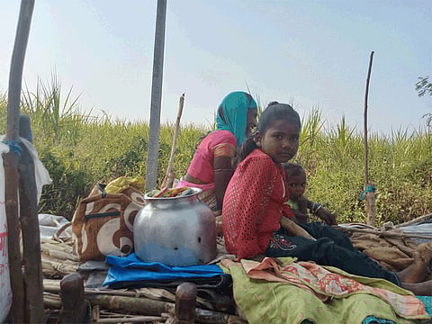 kolhapur guardian minister satej patil Permission to sugarcane laborers go to town