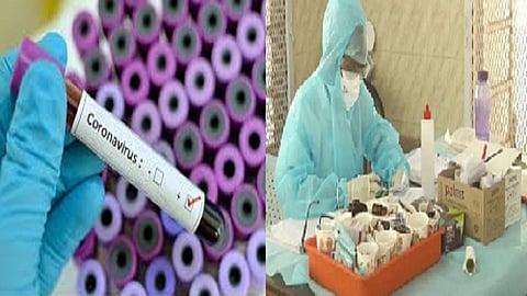 swab2.jpg