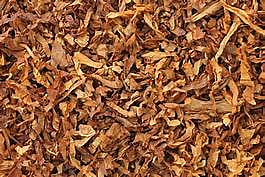tobacco