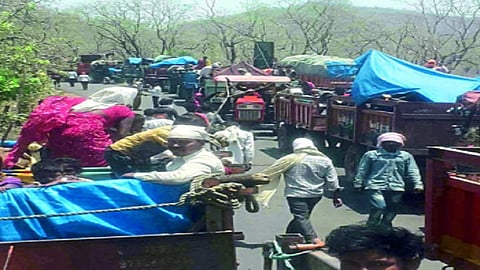 tractor at boundry.jpg