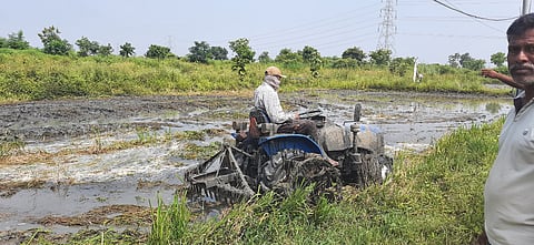 उमरेडः रानडुकरांनी हल्ला केल्यानंतर त्रस्त झालेले शेतकरी पिकावरून ट्रॅक्टर फिरविताना.