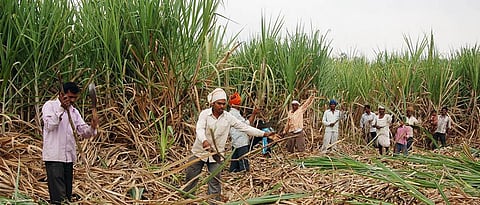 ustode kamgar