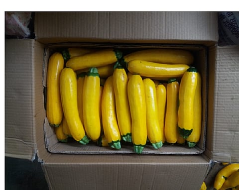Demand for experienced consultants for up-to-date farming information