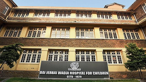 wadia