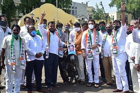 solapur ncp