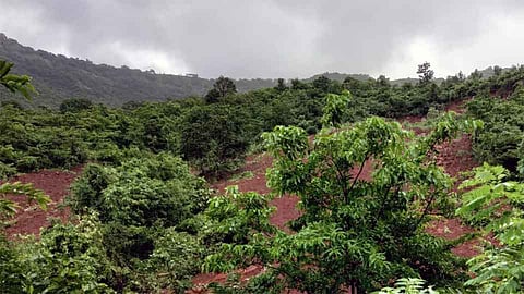 #KonkanRains पुर्येतील डोंगर खचला; पाच घरांना धोका
