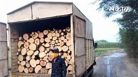 12 tonnes of timber seized and action taken against illegal transport and Tree Cutting