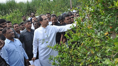 Uddhav Thackeray Visit Farmers In Vita Sangli District