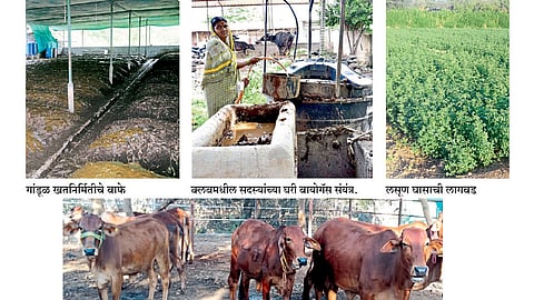 दूध, तूपनिर्मितीसह जमिनीच्या सुपीकतेचे ध्येय