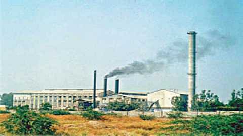 यंदा साखरेचे उत्पादन घटणार काय आहे कारण