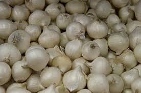 onion