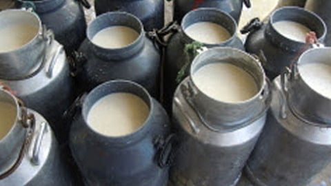 गुड न्यूज : कऱ्हाडकरांना मिळणार घरपोच दूध; त्यासाठी एक फाेन करा