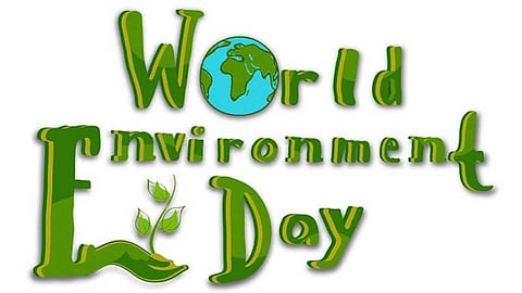 The global environment