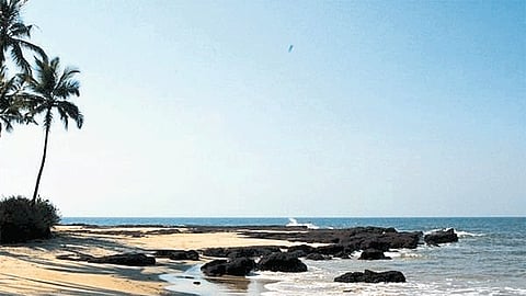 Sea Beach