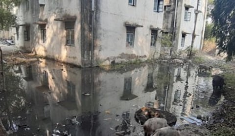 Drainage Water In Aurabgabad Ghati Doctors' Residences