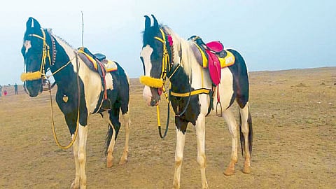 Satara