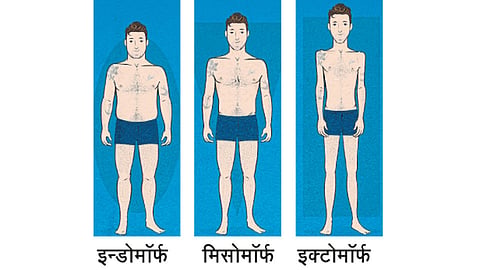 Body-Structure