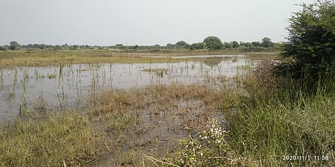 Chapalgaon