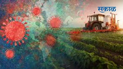 Corona_Farmers.