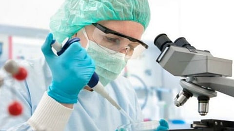 CoronaVirus_Report