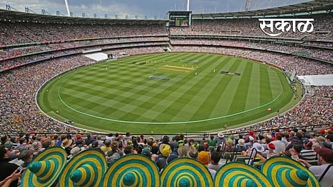 Cricket