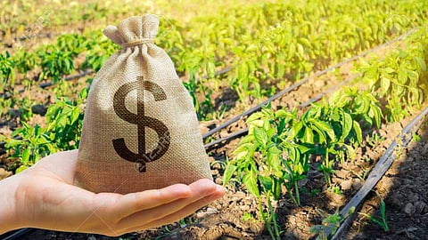 Crop Insurance