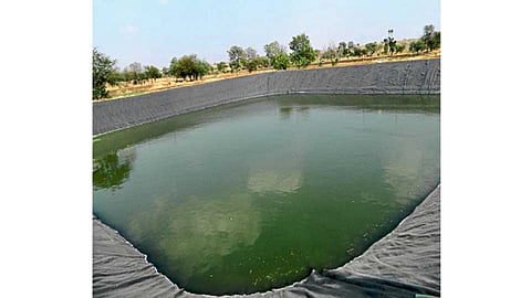 Farm-lake