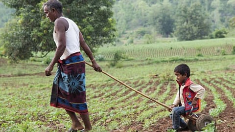 Farmer