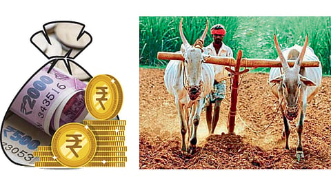 Farmer