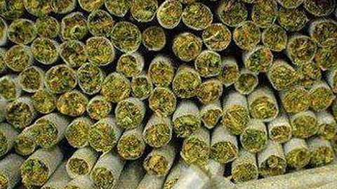 Ganja