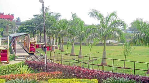 Garden