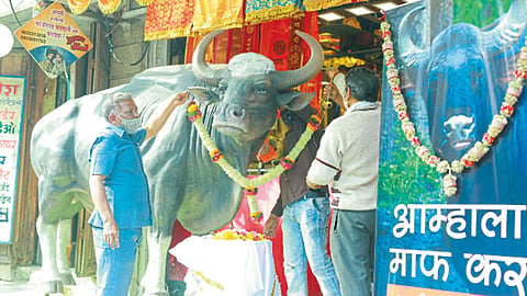बुधवार पेठ - कोथरूड येथे बुधवारी मृत्युमुखी पडलेल्या गव्याच्या पार्श्वभूमीवर भारत फ्लॅग फाउंडेशनने पासोड्या विठोबा मंदिराजवळ प्रतिकृती उभारली आहे. त्यासोबत फ्लेक्स लावून श्रद्धांजली अर्पण केली आहे.