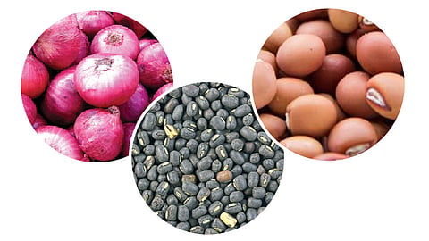 Grains