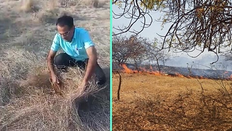 Grass Fire