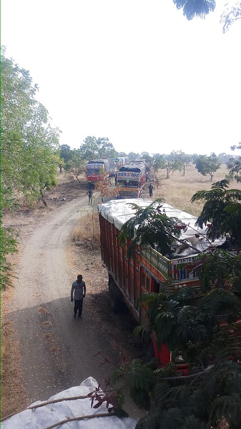 Fourteen trucks seized with firewood