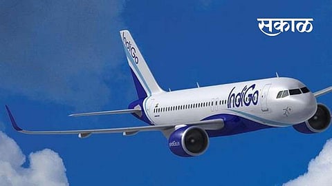 IndiGo