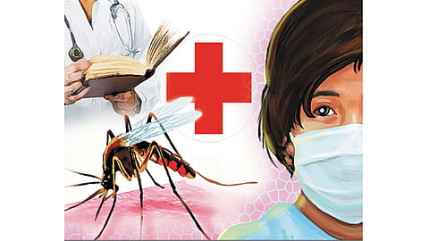 Nanded Updates : जिल्ह्यातील २९ जणांना डेंग्यूची लागण