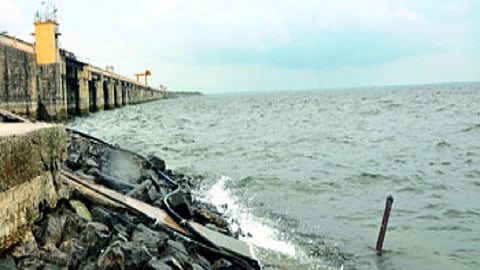 Jayakwadi
