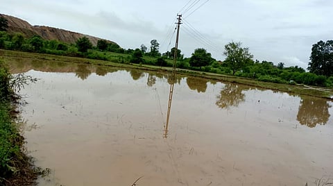 कन्हान : गोंडेगावचा नाला फुटल्यामुळे जलमग्न झालेले शेतातील पीक.
