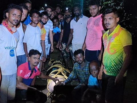 Saved the crocodile satarda konkan sindhudurg